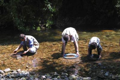 Bateando en el rio